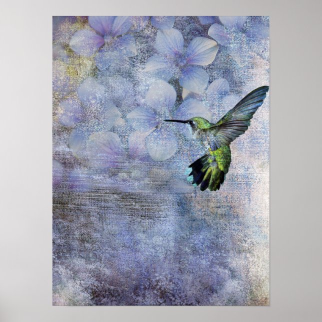 Poster oiseau-mouche (Devant)