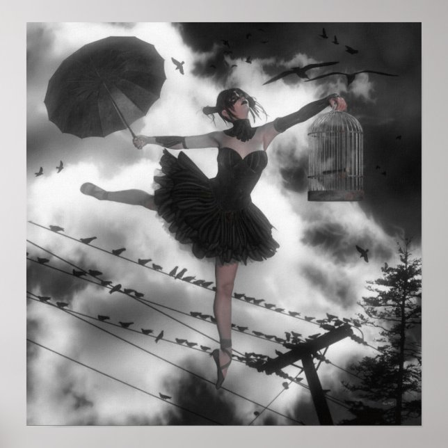 Poster Oiseau noir (Devant)