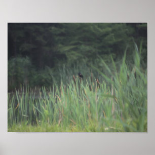 Poster Oiseau-noir à ailes rouges solitaires peinture nat