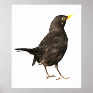Poster Oiseau Noir Isolé Sur Peinture Acrylique Blanche