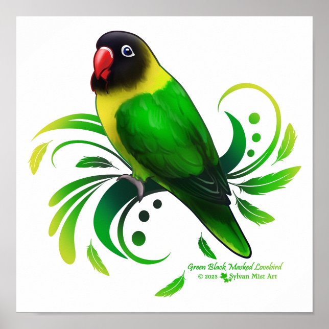 Poster Oiseau noir vert masqué (Devant)