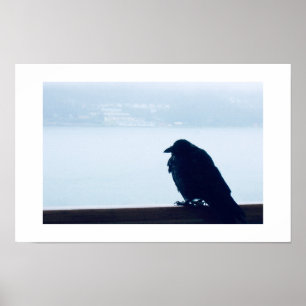 Poster Oiseau perché Mexique Photographie couleur