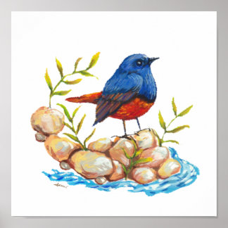 Poster Oiseau philippin endémique du redémarrage de l'eau