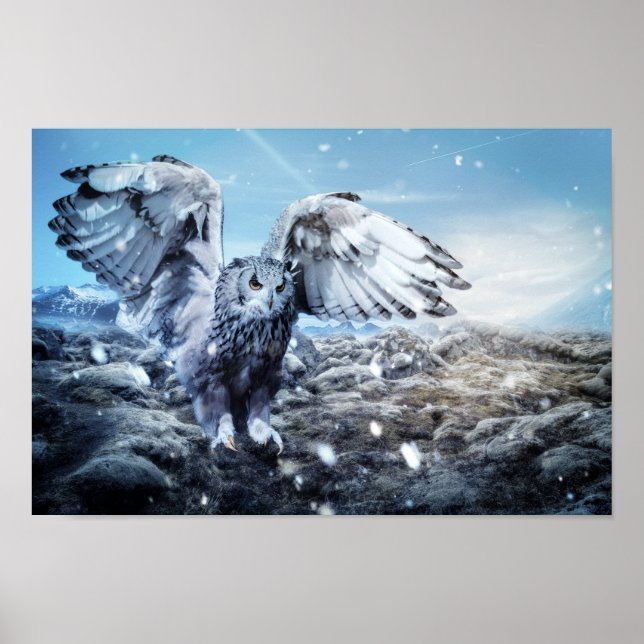 Poster Oiseau sauvage volant (Devant)