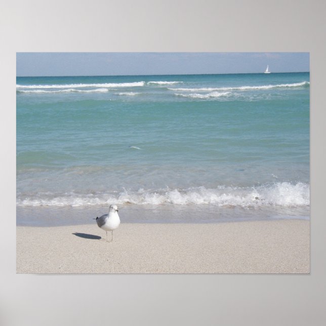 Poster Oiseau sur la plage (Devant)