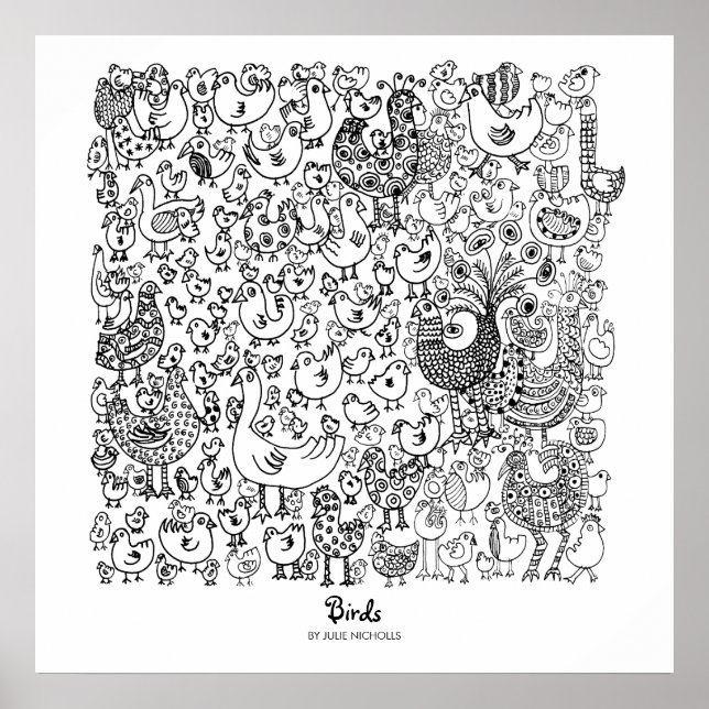 Poster Oiseaux (Devant)