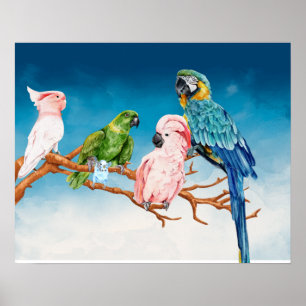 Poster Oiseaux aquarelle : perroquet,