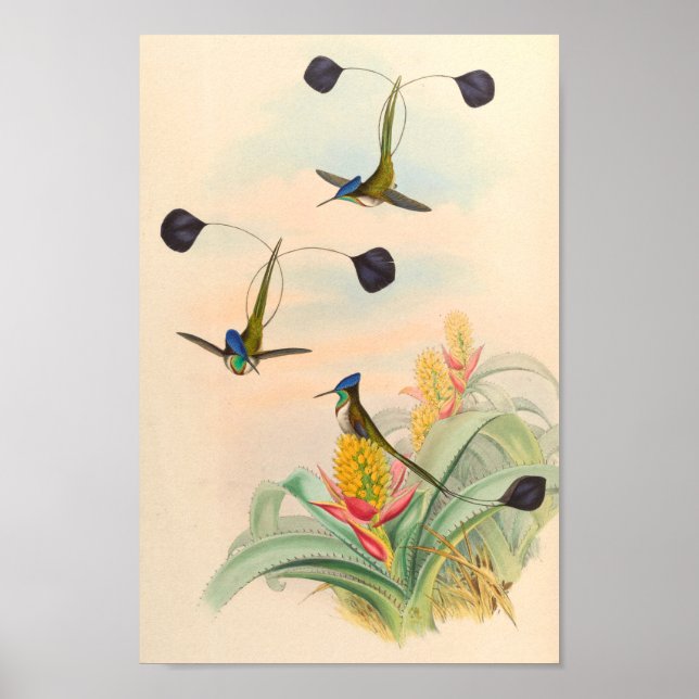 Poster Oiseaux d'art vintages Fleurs d'impression (Devant)