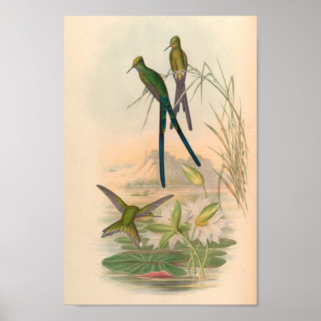 Poster Oiseaux d'art vintages Fleurs d'impression (Devant)
