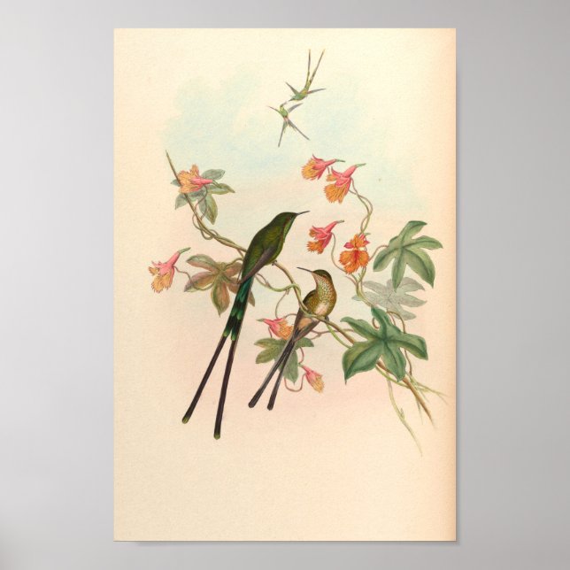Poster Oiseaux d'art vintages Fleurs d'impression (Devant)