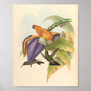 Poster Oiseaux d'art vintages Fleurs d'impression