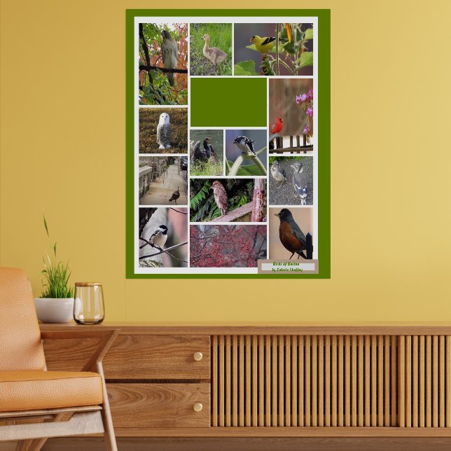 Poster Oiseaux de Boston (Salon 2)