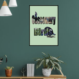 Poster Oiseaux de Cassowary Nom de la photo,