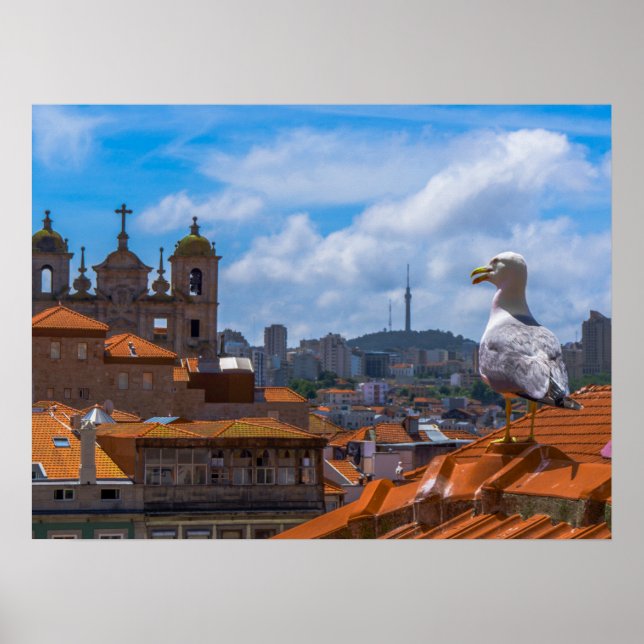 Poster Oiseaux de Goéland Vue des toits du Portugal (Devant)