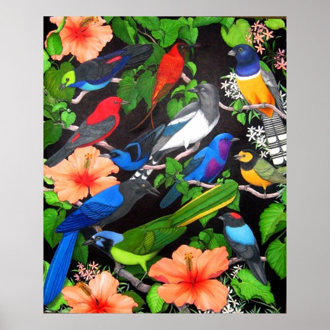 Poster Oiseaux de la Jungle du Mexique (Devant)