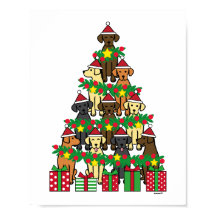 Oiseaux de Noël Quatre
