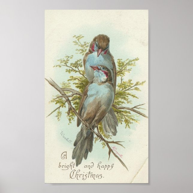 Poster Oiseaux de Noël vintage (Devant)