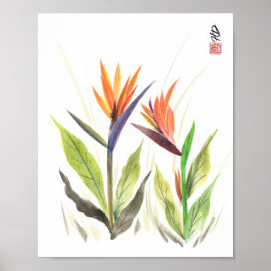 Poster Oiseaux de Paradis dans la lumière du matin