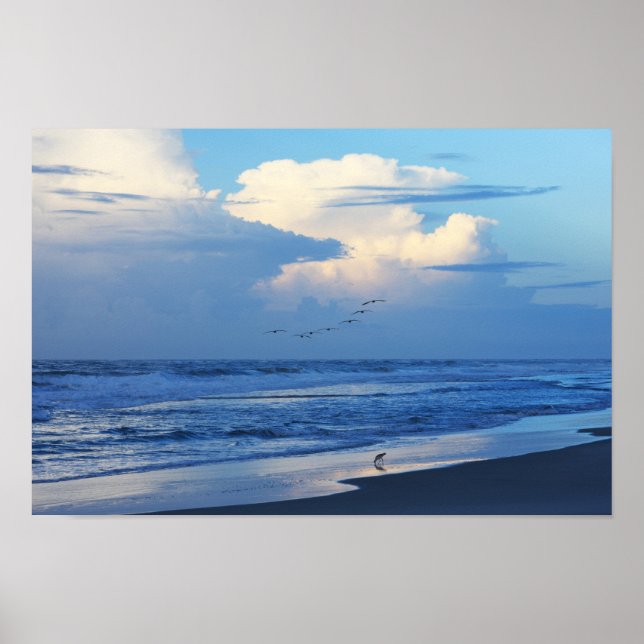 Poster Oiseaux de plage à l'aube 1 (Devant)