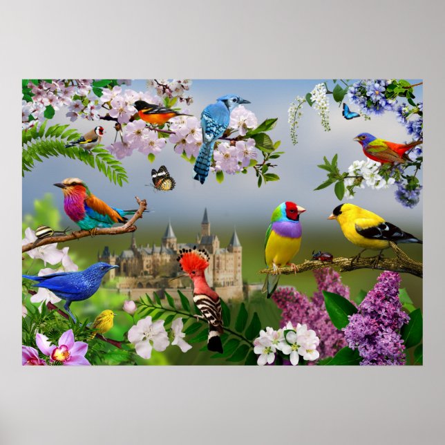 Poster Oiseaux et fleurs Belle image avec oiseaux (Devant)