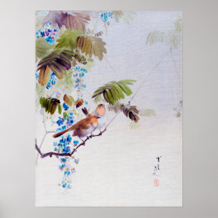Poster Oiseaux et Fleurs de Wisteria, Watanabe Seitei