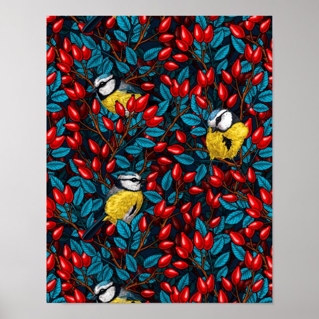 Poster Oiseaux et hanches roses de chien, bleu et rouge (Devant)