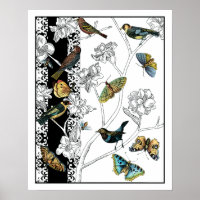 Oiseaux et papillons sur un Arrière - plan noir et