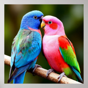 Poster Oiseaux Exotiques ✨Perchés Ensemble  Cadeau pour l
