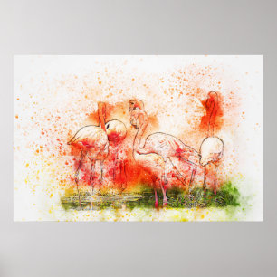 Poster Oiseaux Flamants roses