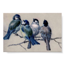 Oiseaux gris bleu sur une branche par Hector Giaco