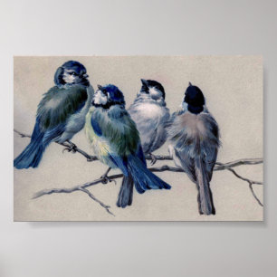 Poster Oiseaux gris bleu sur une branche par Hector Giaco