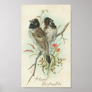 Poster Oiseaux heureux d'un cru de Christmastide