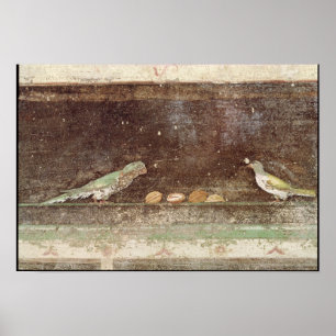 Poster Oiseaux mangeant des noix