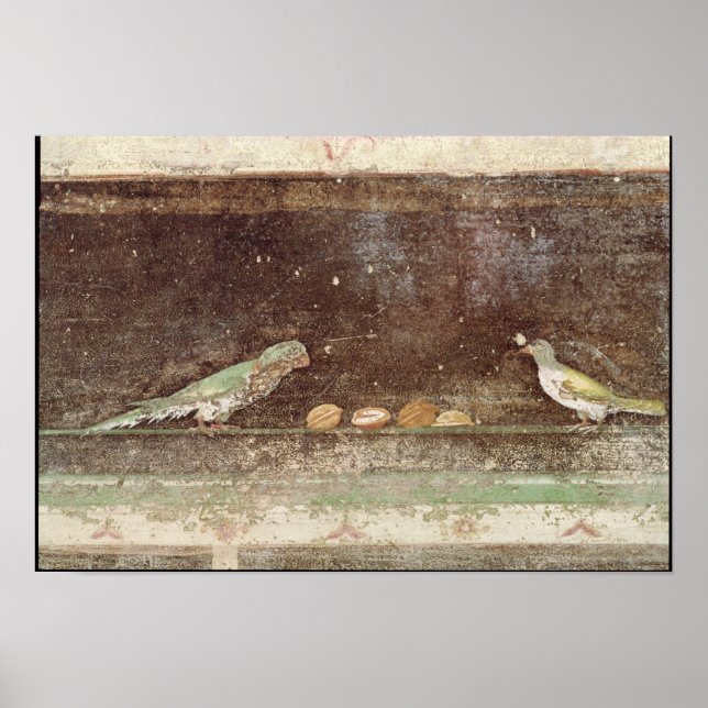 Poster Oiseaux mangeant des noix (Devant)