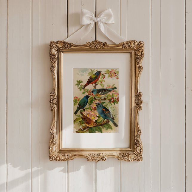 Poster Oiseaux nord-américains | Tzel Gustav Mü (Créateur téléchargé)