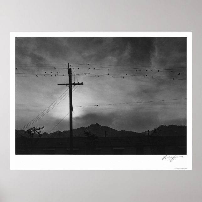 Poster Oiseaux Sur Fil, Soirée 1943 (Devant)