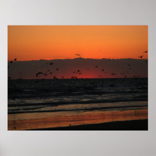 Poster Oiseaux survolant le lever du soleil océanique