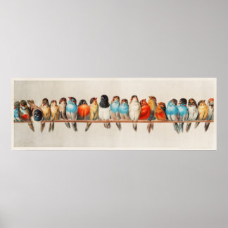 Poster Oiseaux tripiques colorés sur une branche