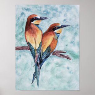 Poster Oiseaux tropicaux exceptionnels