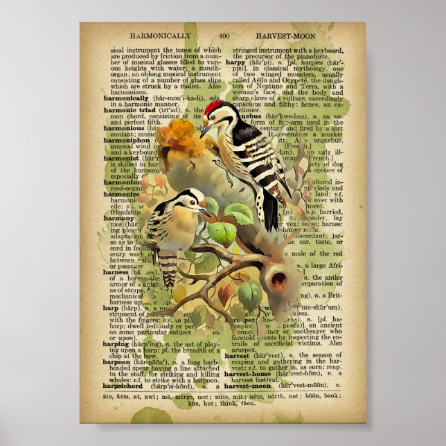 Poster Oiseaux vintages (Devant)