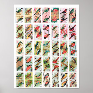 Poster Oiseaux vintages Jouer aux cartes Animaux