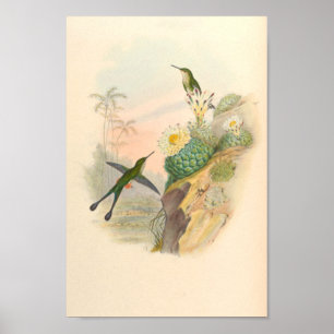 Poster Oiseaux vintages Oiseaux Imprimer Fleurs Cactus