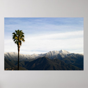 Poster Ojai Palm