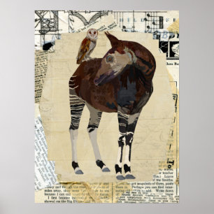 Poster OKAPI & OWL Art