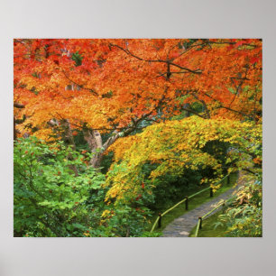 Poster Okochi Sanso, Arashiyama, Kyoto, Japon 2