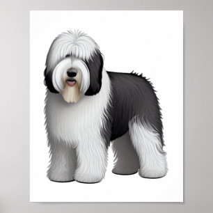 Poster Old English Sheepdog 10