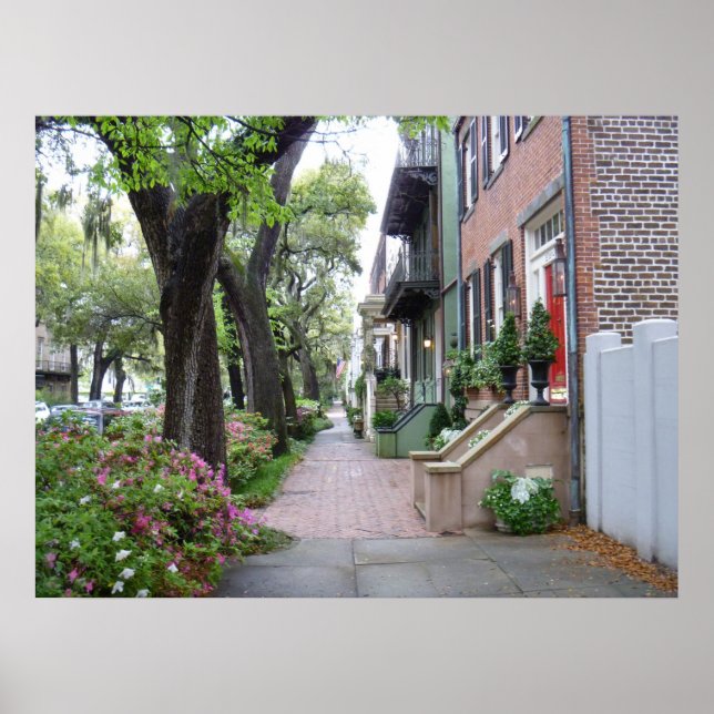 Poster Old Savannah (Devant)