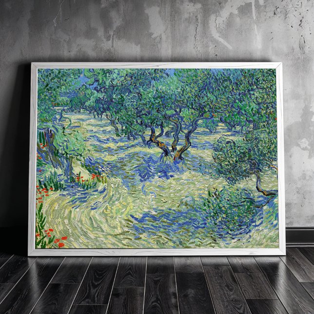 Poster Olive Orchard, Vincent van Gogh (Créateur téléchargé)