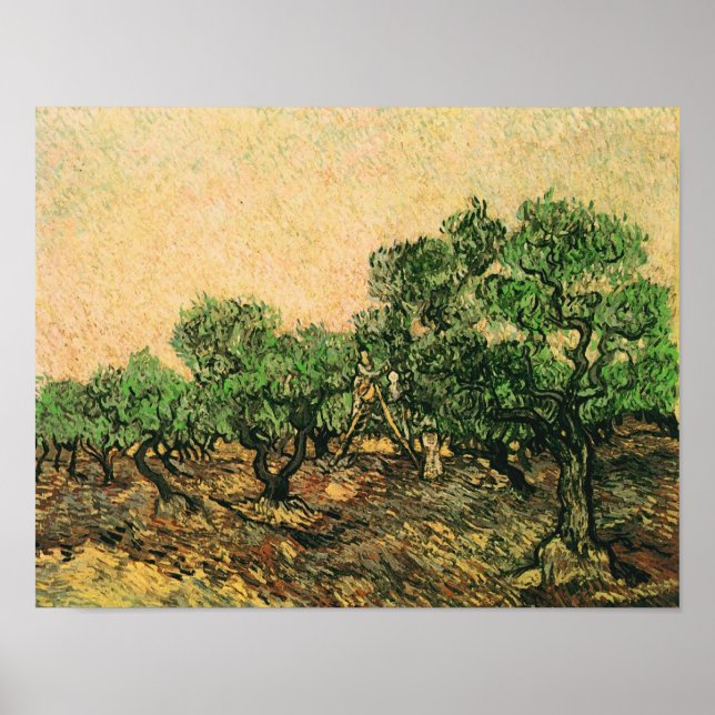 Poster Olive Picking Van Gogh Art (Devant)