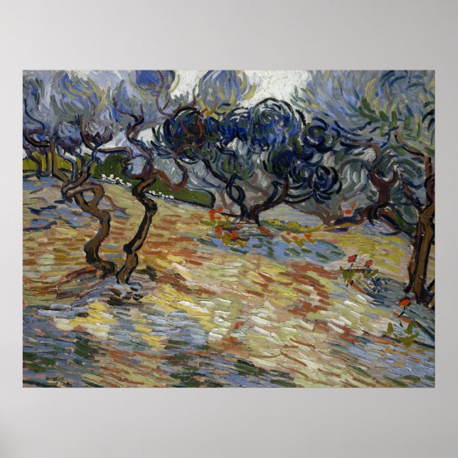 Poster Olive Trees par Vincent Van Gogh (Devant)